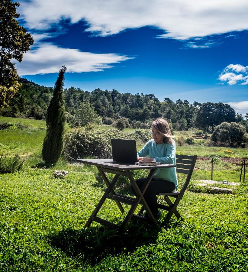 Mas De L'Arlequi Konuk evi Rojals Dış mekan fotoğraf