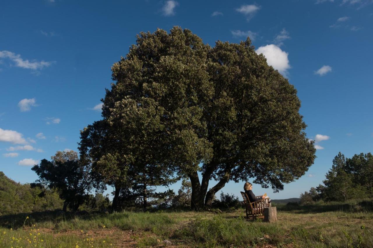 Mas De L'Arlequi Konuk evi Rojals Dış mekan fotoğraf
