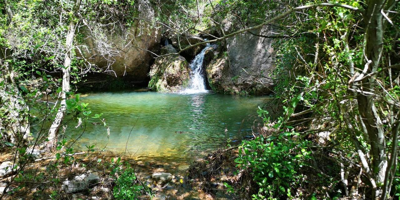 Mas De L'Arlequi Konuk evi Rojals Dış mekan fotoğraf