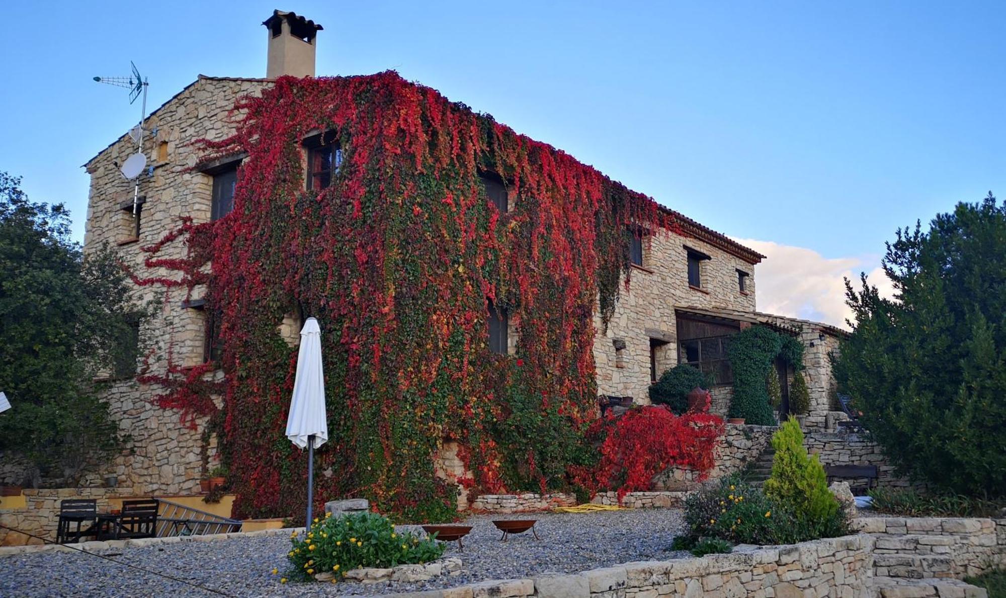 Mas De L'Arlequi Konuk evi Rojals Dış mekan fotoğraf