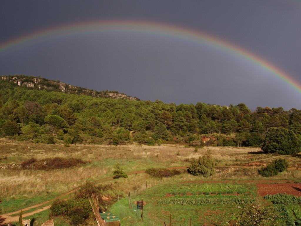 Mas De L'Arlequi Konuk evi Rojals Dış mekan fotoğraf