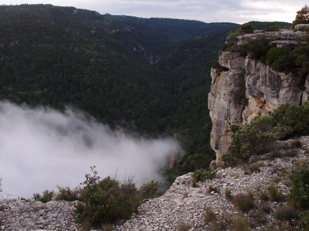 Mas De L'Arlequi Konuk evi Rojals Dış mekan fotoğraf