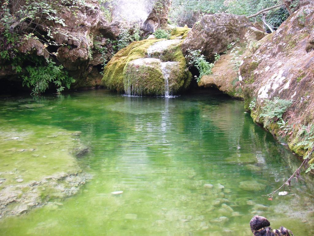 Mas De L'Arlequi Konuk evi Rojals Dış mekan fotoğraf