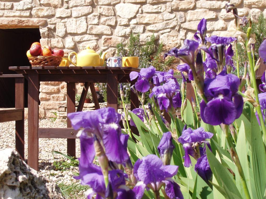 Mas De L'Arlequi Konuk evi Rojals Dış mekan fotoğraf