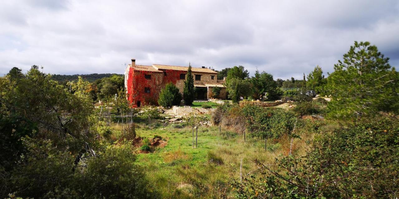 Mas De L'Arlequi Konuk evi Rojals Dış mekan fotoğraf
