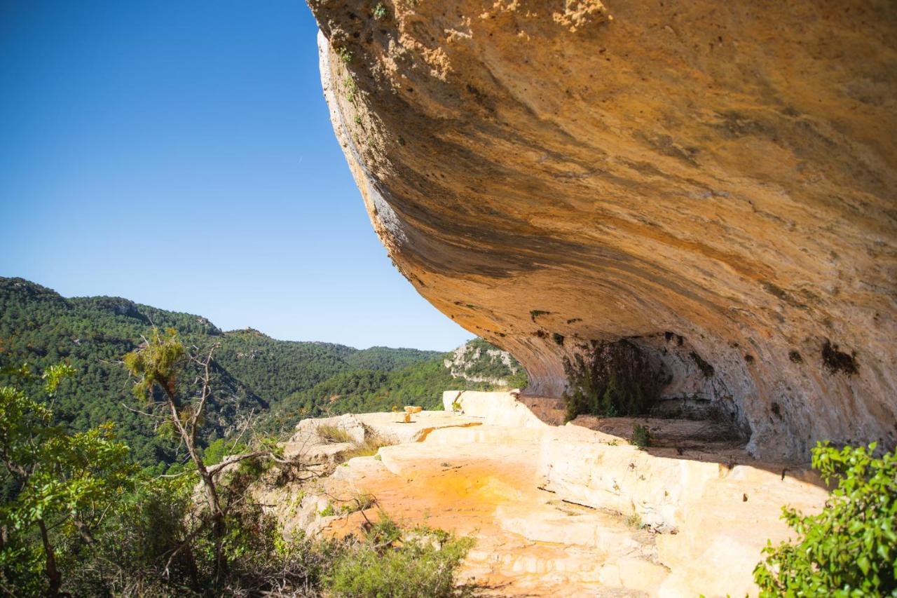 Mas De L'Arlequi Konuk evi Rojals Dış mekan fotoğraf